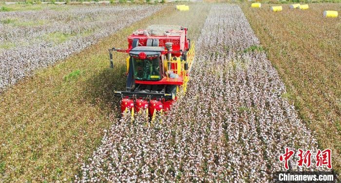 采棉機(jī)正在采收棉花，猶如在五線譜上跳動(dòng)的音符，正在演奏豐收的樂章?！∷谓?攝