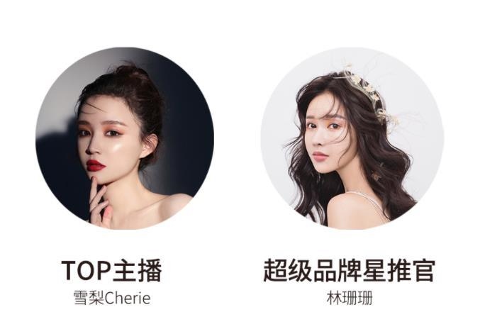 宸帆電商官網(wǎng)截圖。