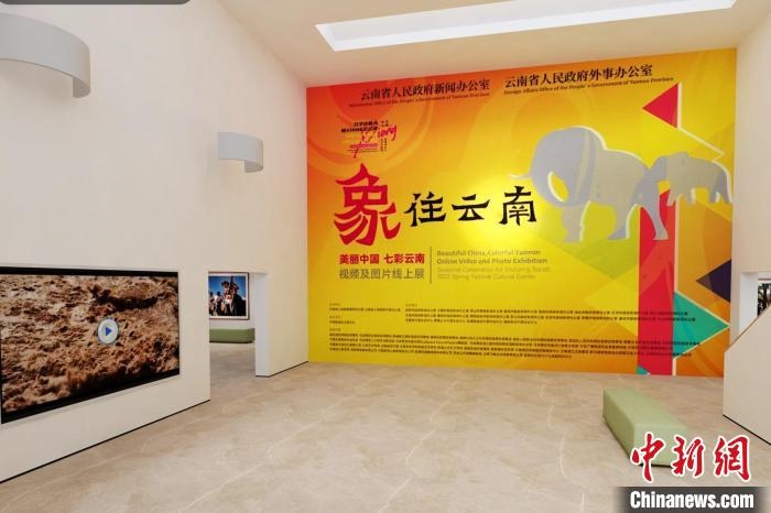 圖為“象”往云南——美麗中國 七彩云南視頻及圖片線上展截圖?！『h(yuǎn)航 攝