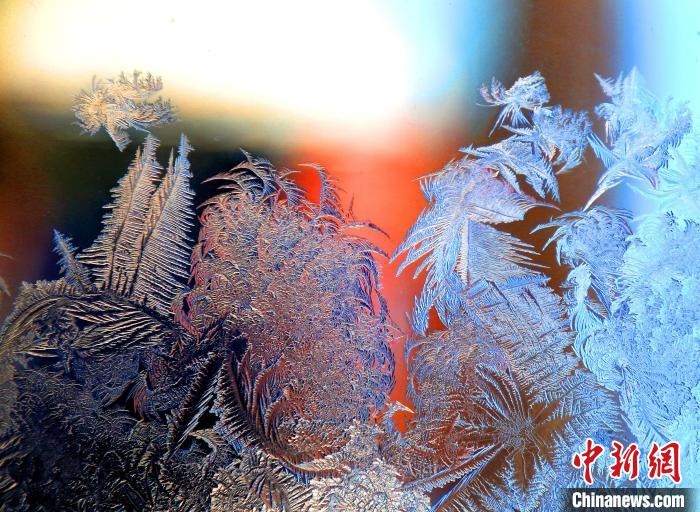 惟妙惟肖的冰窗花，似一幅風(fēng)景畫?！O書程 攝