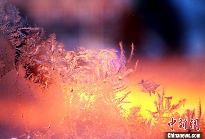 迎著光亮，冰窗花絢麗多姿。　孫書程 攝