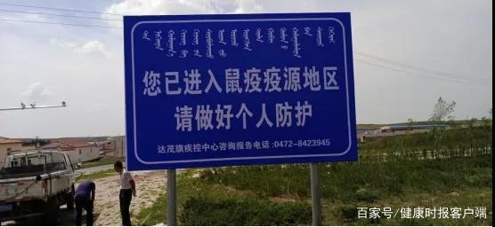 1604389128396642.jpeg 8187.jpeg