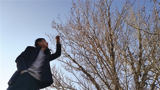 1608194524896230.jpg res04_attpic_brief.jpg