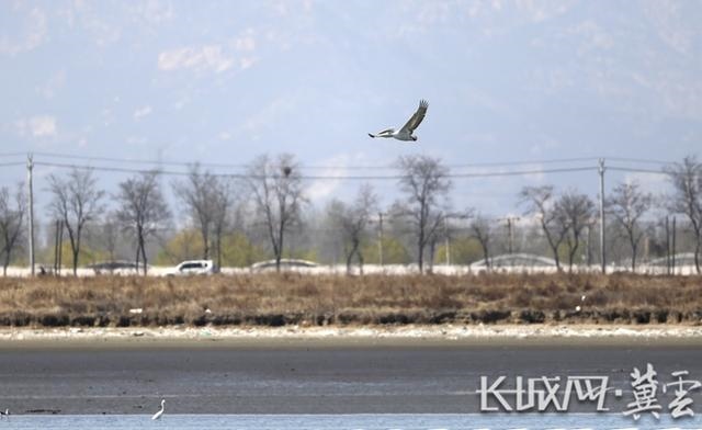 1662606877103521.jpg W020220907399621238549.jpg