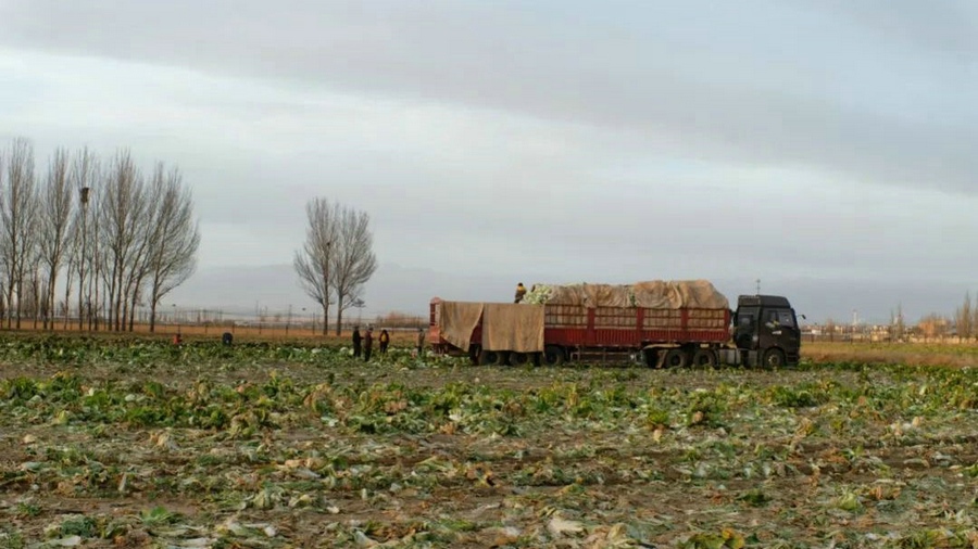 1667662485140068.jpg 微信圖片_20221105231341.jpg