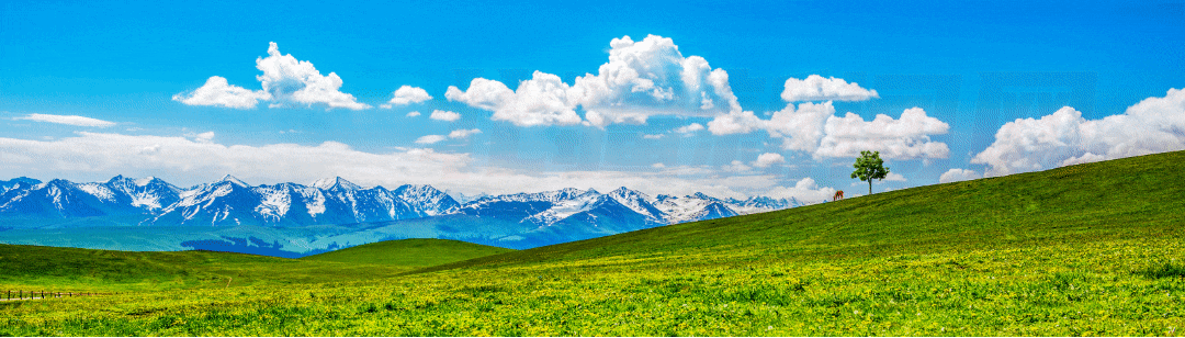 1668569657630157.gif 640.gif