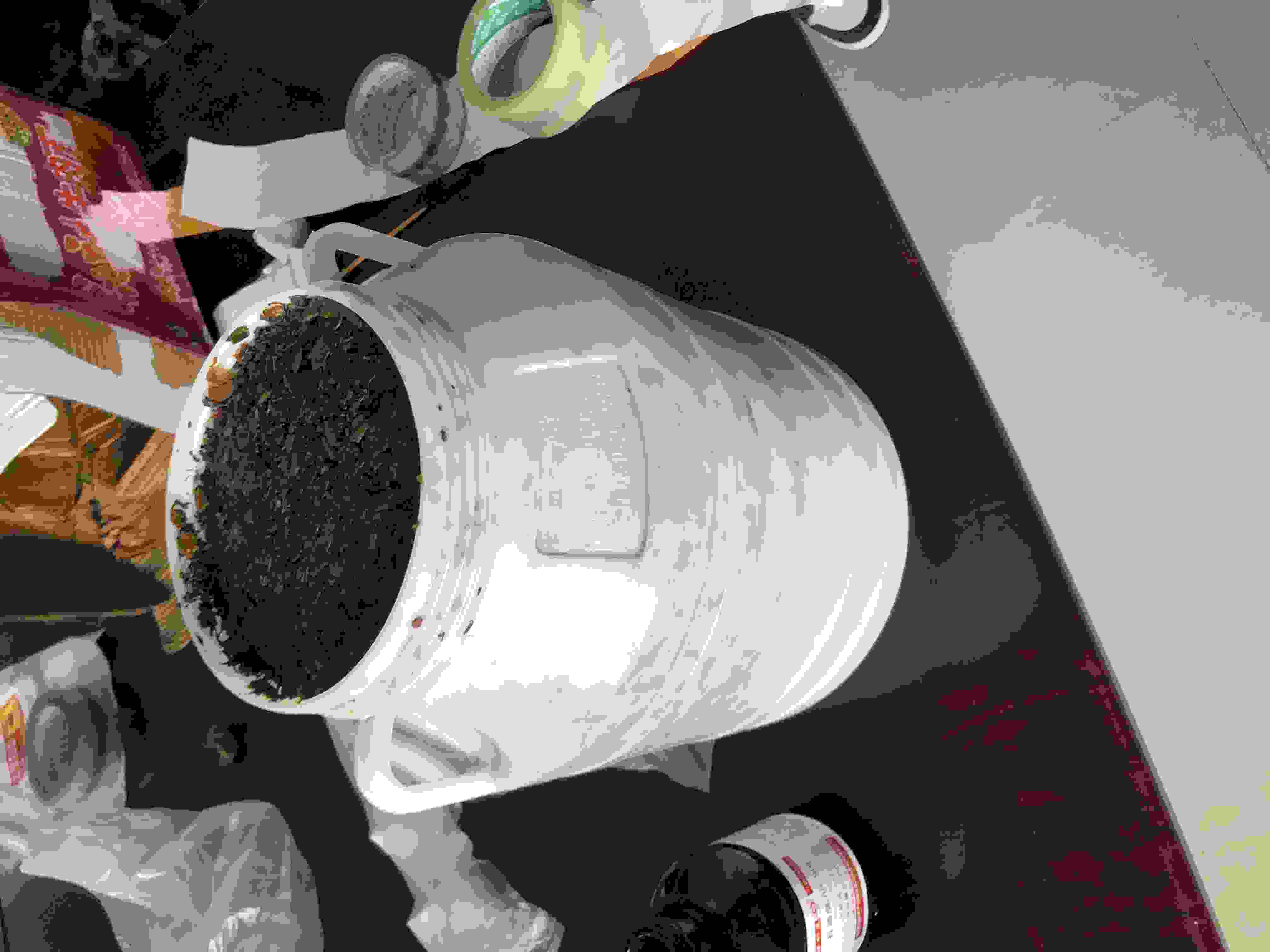 1712895122127946.jpg 1712895122127946.jpg