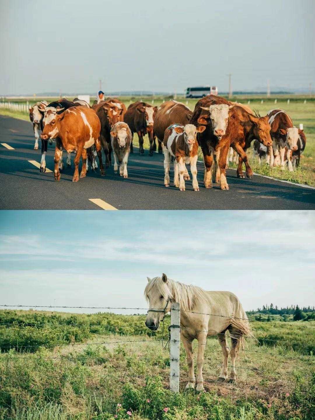 1727510607118565.jpeg WechatIMG128.jpeg