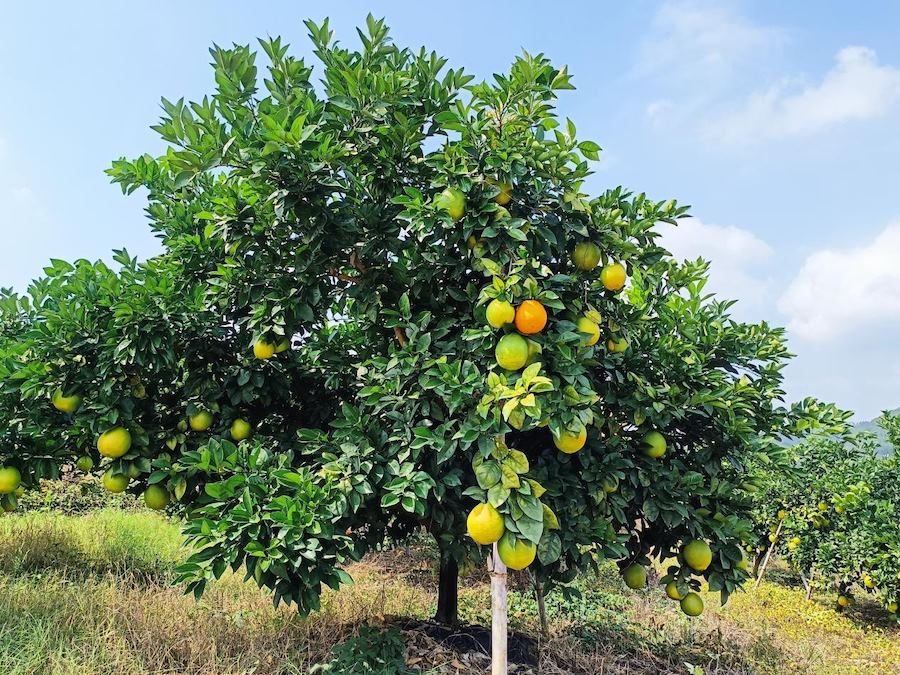 1729426991917953.png 圖片47.png