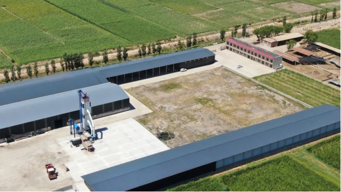 1736740210106761.png 1.png