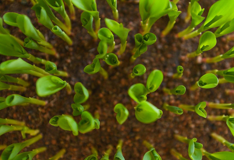 1744184326142779.jpg 土默川6.jpg