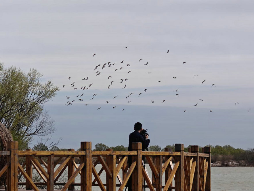 1744852514212490.jpg 東營(yíng)2.jpg