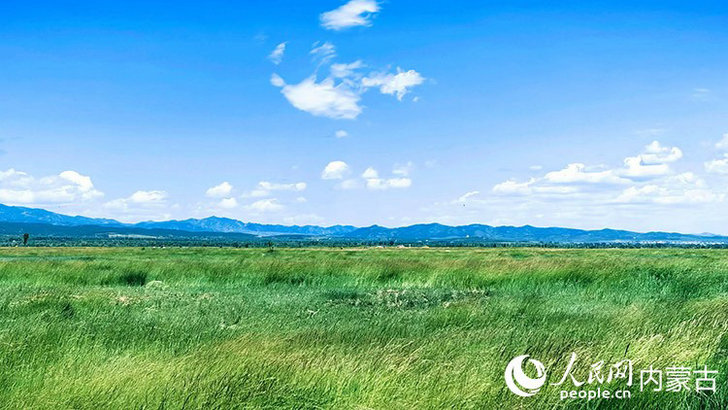 1752228220447229.jpg 內(nèi)蒙古1.jpg