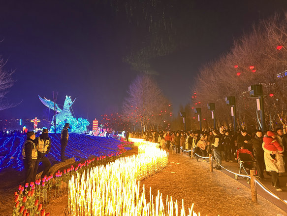 1772586909756068.jpg 小草4.jpg