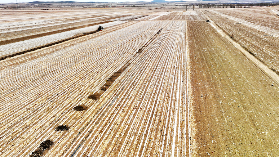 1773558090133398.png 圖片44.png