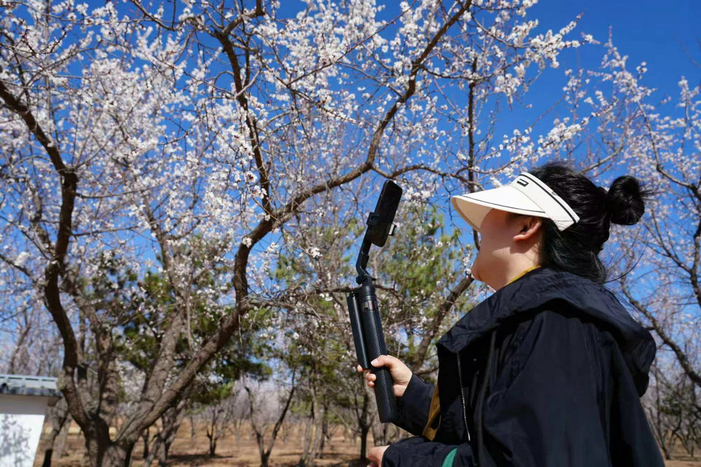 1775886407219892.jpg 1308.jpg