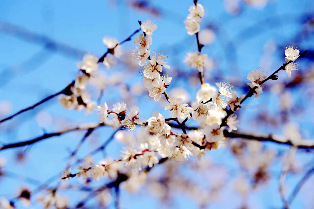 1775886419116366.jpg 1309.jpg