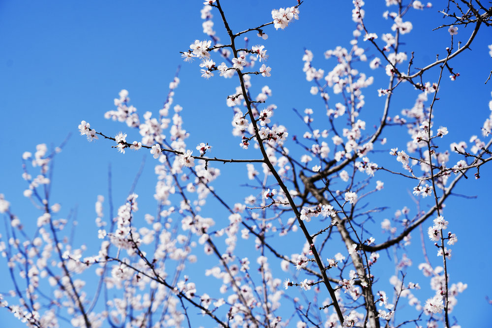 1775886429689412.jpg 1310.jpg