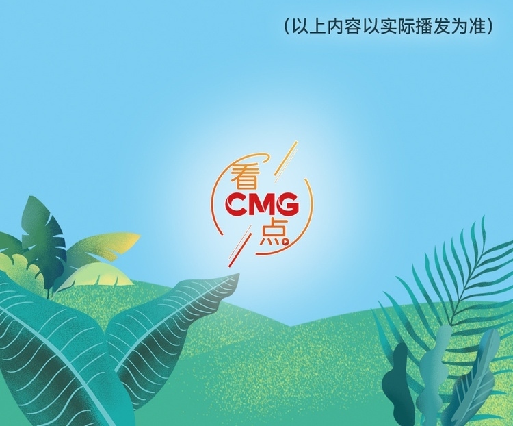 總臺(tái)周看點(diǎn)，來了！