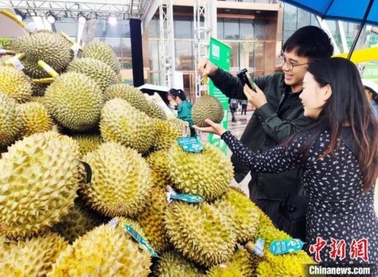 圖為廣西南寧市民在選購(gòu)榴蓮。黃艷梅 攝