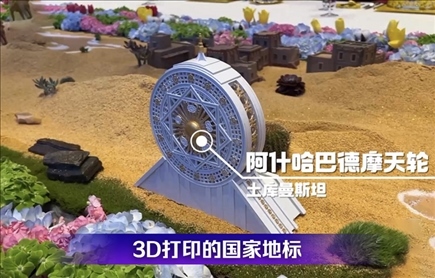 時(shí)政微觀察丨石榴花開(kāi)的時(shí)節(jié)