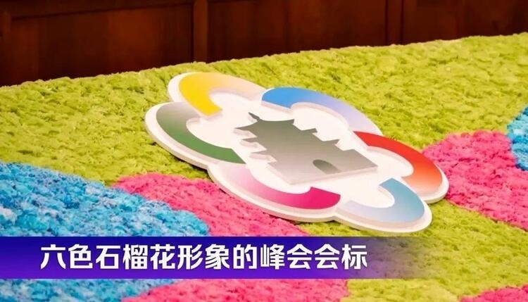 時(shí)政微觀察丨石榴花開(kāi)的時(shí)節(jié)