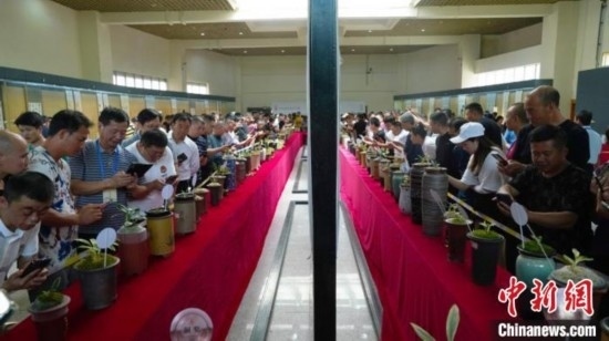 圖為活動(dòng)現(xiàn)場(chǎng)。 云南省委臺(tái)辦供圖