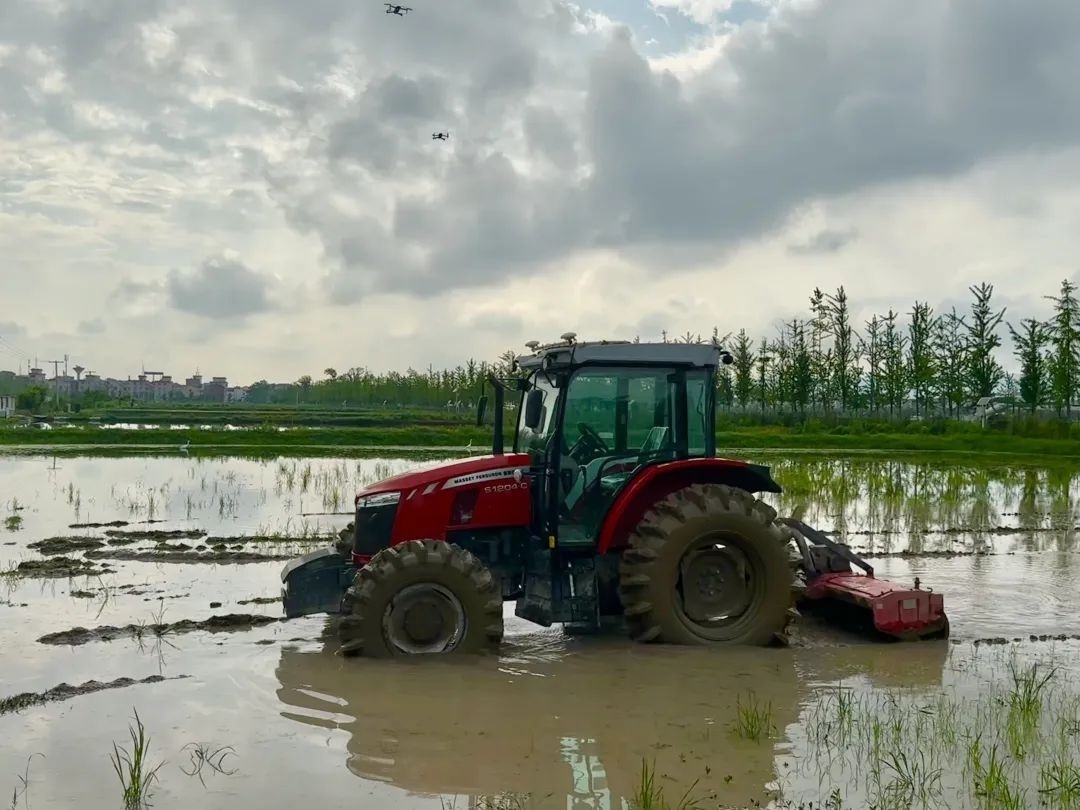 浙江省金華市東陽(yáng)市城東街道寀盧村的一臺(tái)無(wú)人駕駛耕地機(jī)。靜玄 攝