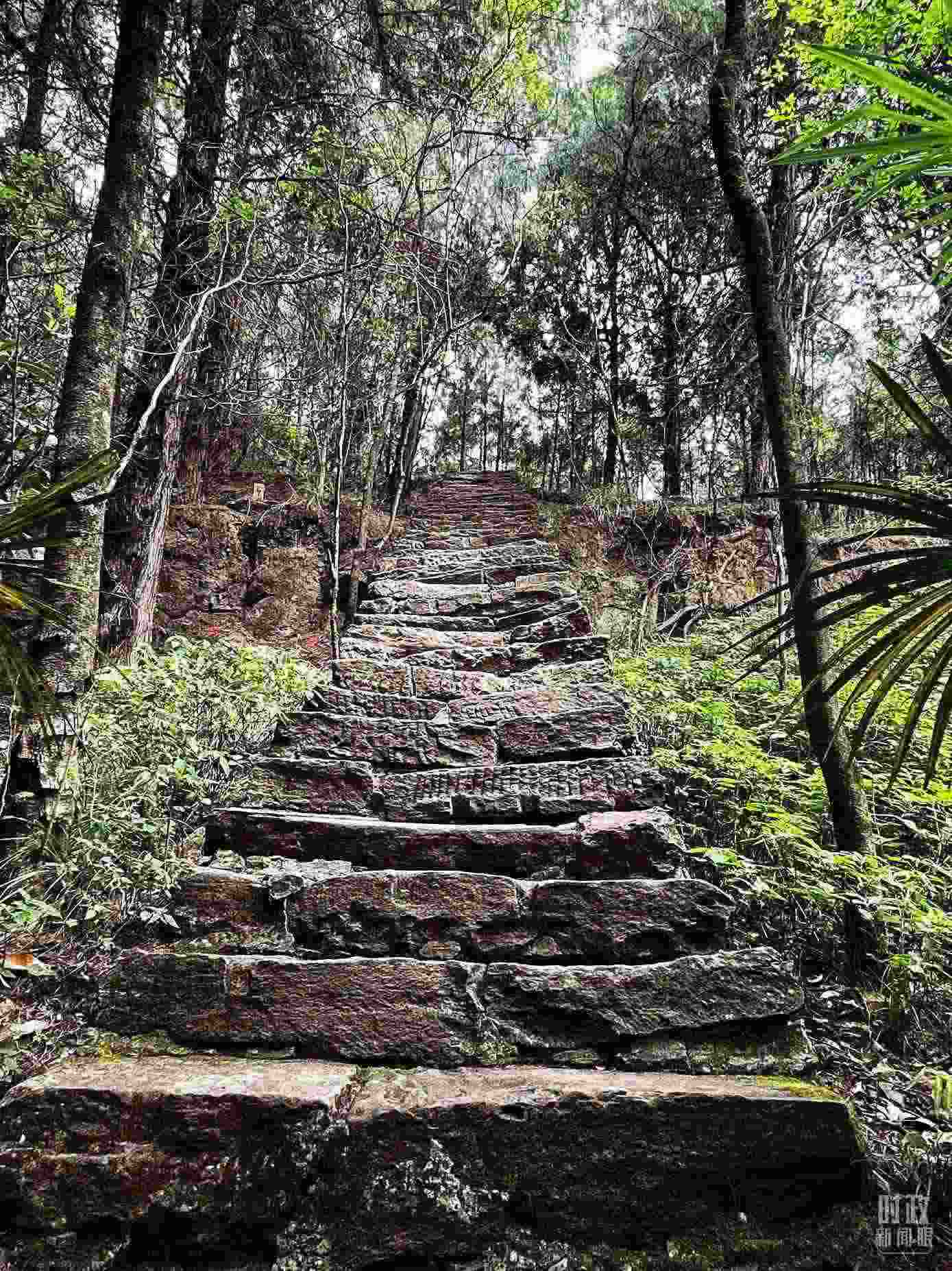 △古蜀道。（總臺央視記者郭曉龍拍攝）