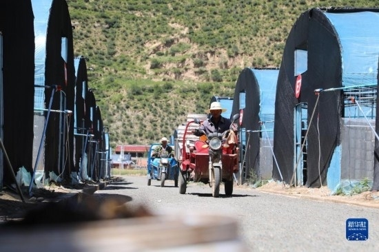 7月29日，農(nóng)戶在卓尼縣納浪鎮(zhèn)納浪村黑木耳種植基地勞作。