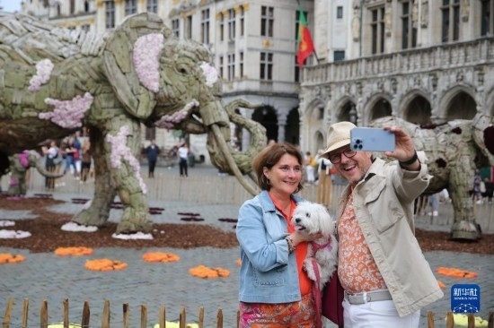 8月11日，觀眾在比利時(shí)布魯塞爾“鮮花時(shí)光”展覽上拍照。新華社記者 趙丁喆攝