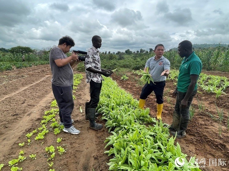 人民網(wǎng)記者走進尼日利亞農(nóng)業(yè)技術(shù)示范中心。人民網(wǎng)記者 趙艷紅攝