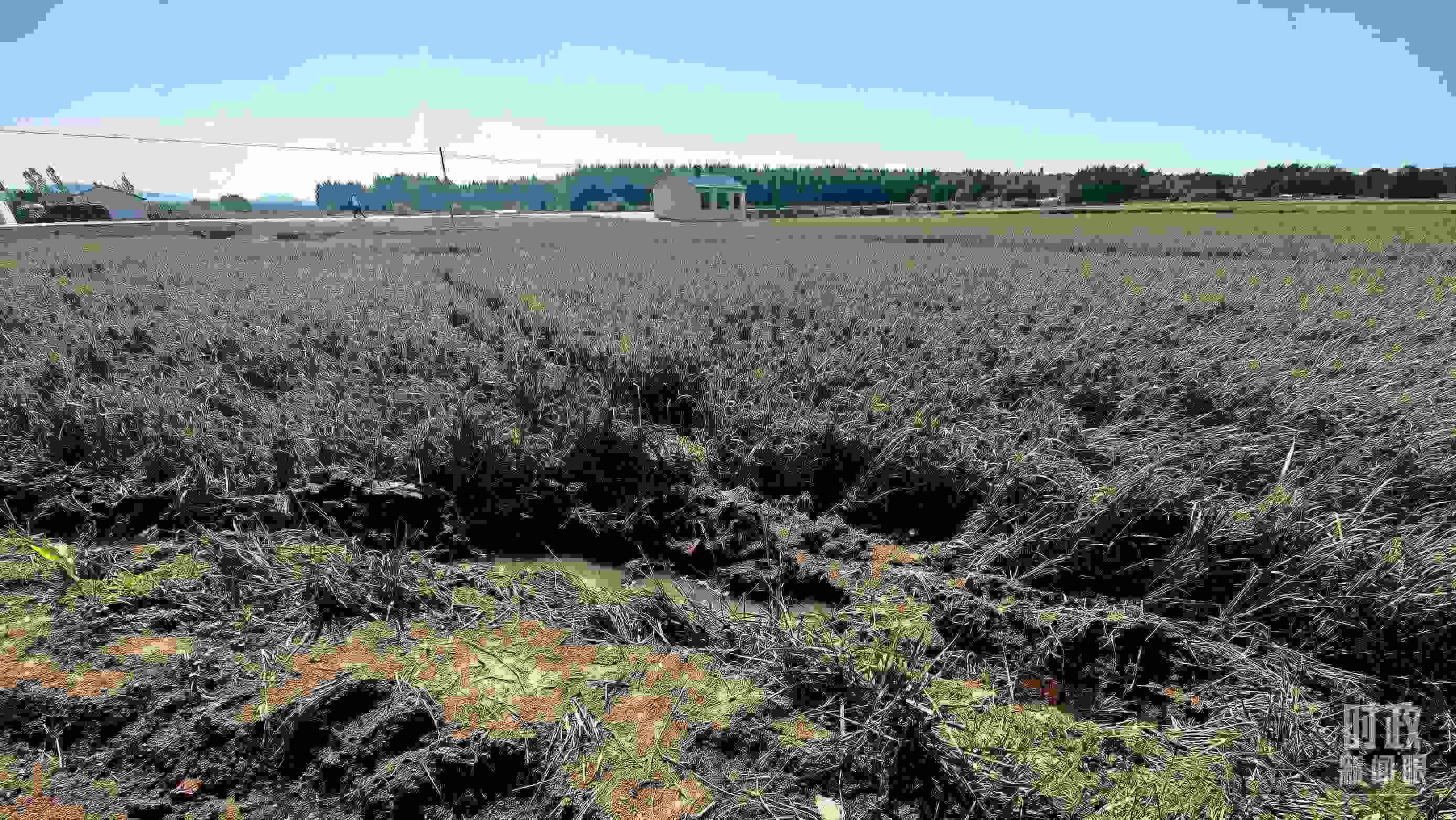 △圖為龍王廟村在洪災(zāi)中受損的農(nóng)田。（總臺央視記者史偉拍攝）