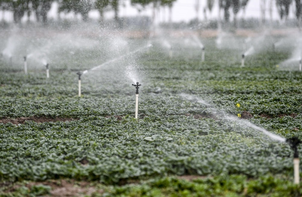 2023年5月25日，在寧夏銀川市永寧縣望洪鎮(zhèn)宋澄村冷涼蔬菜種植基地，小型噴灌節(jié)水設(shè)備在進(jìn)行噴灌作業(yè)。新華社記者 馮開(kāi)華 攝