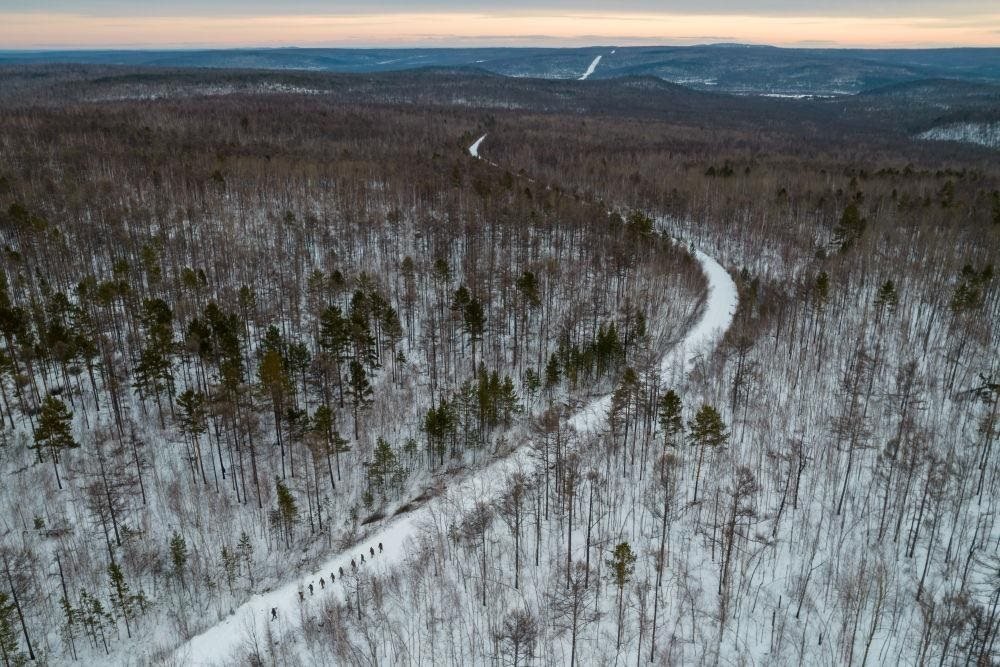 △2023年1月，漠河林場(chǎng)數(shù)十名職工自發(fā)組成的森林撫育隊(duì)伍，在人跡罕至的山林中作業(yè)。