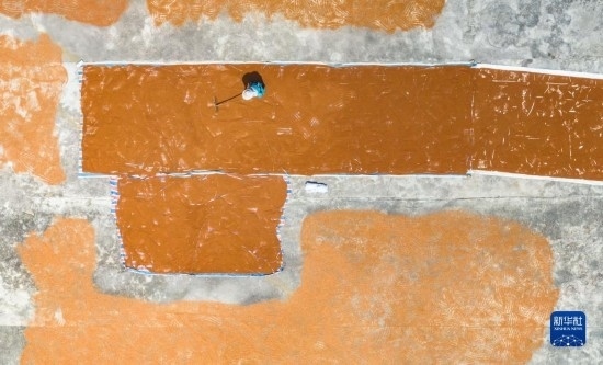 9月16日，農(nóng)民在貴州省安順市西秀區(qū)大西橋鎮(zhèn)吉昌村晾曬高粱（無人機照片）。