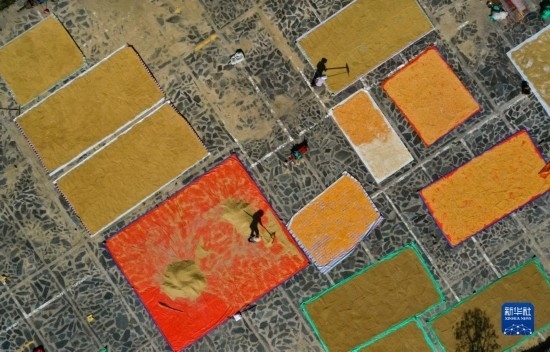 9月16日，貴州省黔東南苗族侗族自治州丹寨縣南皋鄉(xiāng)石橋村村民在晾曬農(nóng)作物（無人機照片）。