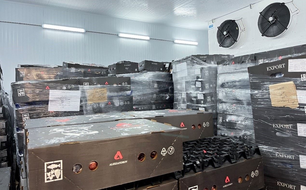 恒溫冷庫中，包裝好的牛肉等待發(fā)往中國。人民網(wǎng)記者 朱虹攝