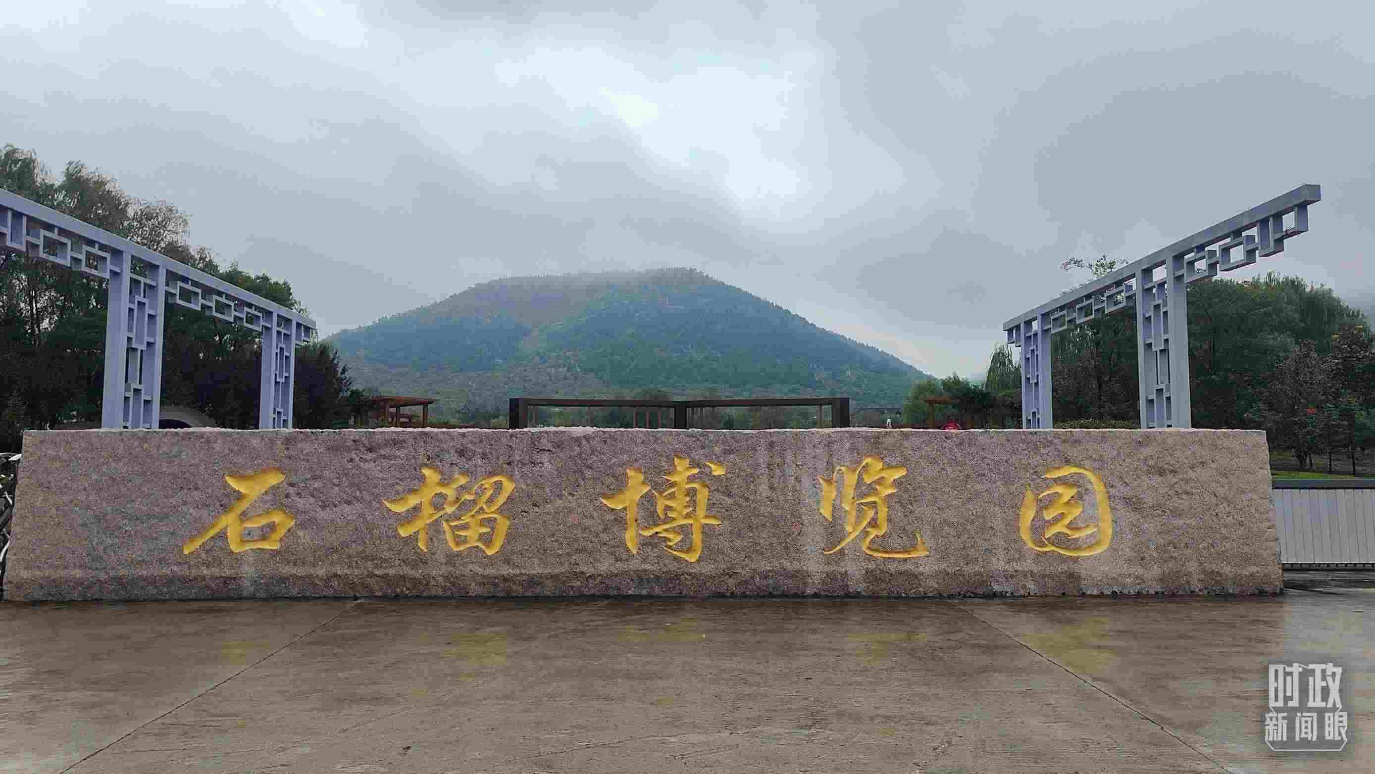 △石榴種質(zhì)資源庫位于石榴博覽園內(nèi)。（總臺(tái)央視記者楊立峰拍攝）