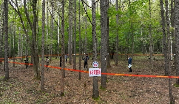 競(jìng)賽現(xiàn)場(chǎng)。圖片來(lái)源：國(guó)家林業(yè)和草原局