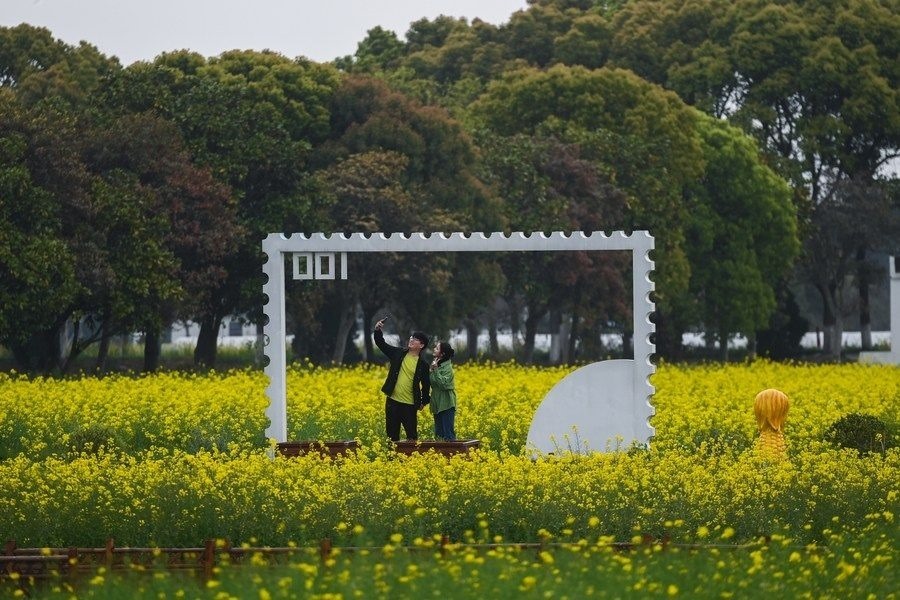  游客在浙江嘉興市秀洲區(qū)王店鎮(zhèn)鎮(zhèn)中村的“青青樂(lè)地”農(nóng)耕文化園內(nèi)游玩（2023年4月3日攝）。