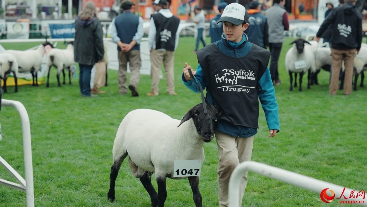 烏拉圭第118屆普拉多牧農(nóng)業(yè)國(guó)際博覽會(huì)現(xiàn)場(chǎng)。人民網(wǎng)記者 張若涵攝