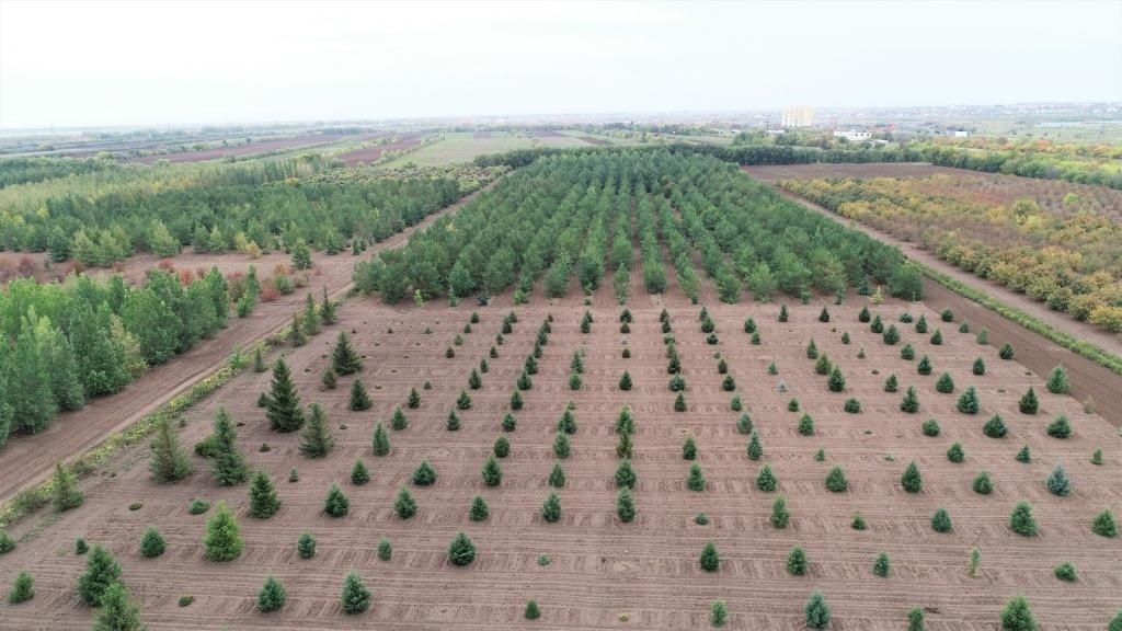 這是2023年9月11日在哈薩克斯坦首都阿斯塔納拍攝的一處植物種質(zhì)資源苗圃（無人機照片）。新華社發(fā)（法爾哈特·圖克諾夫 攝）