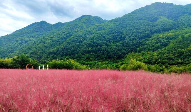 寶成線鳳縣境內(nèi)的路邊。