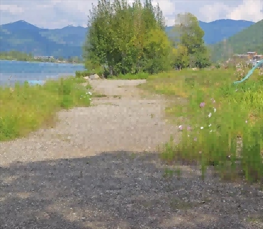 王軍所說被填區(qū)域。 人民網(wǎng)記者 黃鈺攝