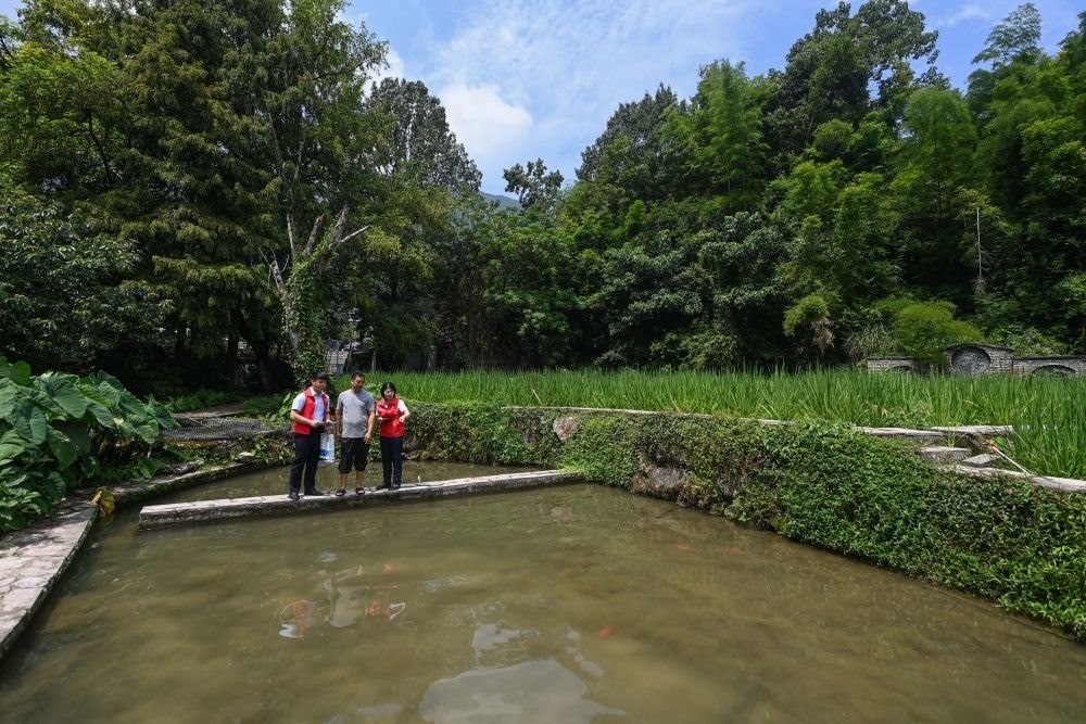 2023年8月17日，浙江省麗水市青田縣方山鄉(xiāng)田魚養(yǎng)殖戶吳勇強（中）在接受青田農(nóng)商銀行“小蜻蜓”服務(wù)隊志愿者提供的“惠民易貸”上門服務(wù)。近年來，青田縣金融發(fā)展中心聯(lián)合各個金融機構(gòu)優(yōu)化配套鄉(xiāng)村振興金融服務(wù)，推出“惠民易貸”“農(nóng)家樂貸”等金融產(chǎn)品，重點支持涉農(nóng)龍頭企業(yè)及特色種養(yǎng)殖產(chǎn)業(yè)。新華社記者 徐昱 攝