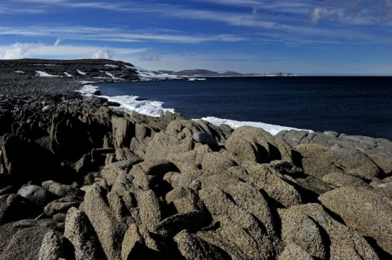 羅斯海恩克斯堡島的夏季風(fēng)光。新華社記者 張建松 攝