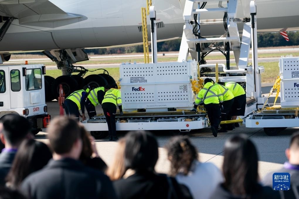 11月8日，在美國弗吉尼亞州的華盛頓杜勒斯國際機(jī)場，裝有大熊貓的特制“旅行包廂”準(zhǔn)備運上專機(jī)。新華社記者劉杰攝