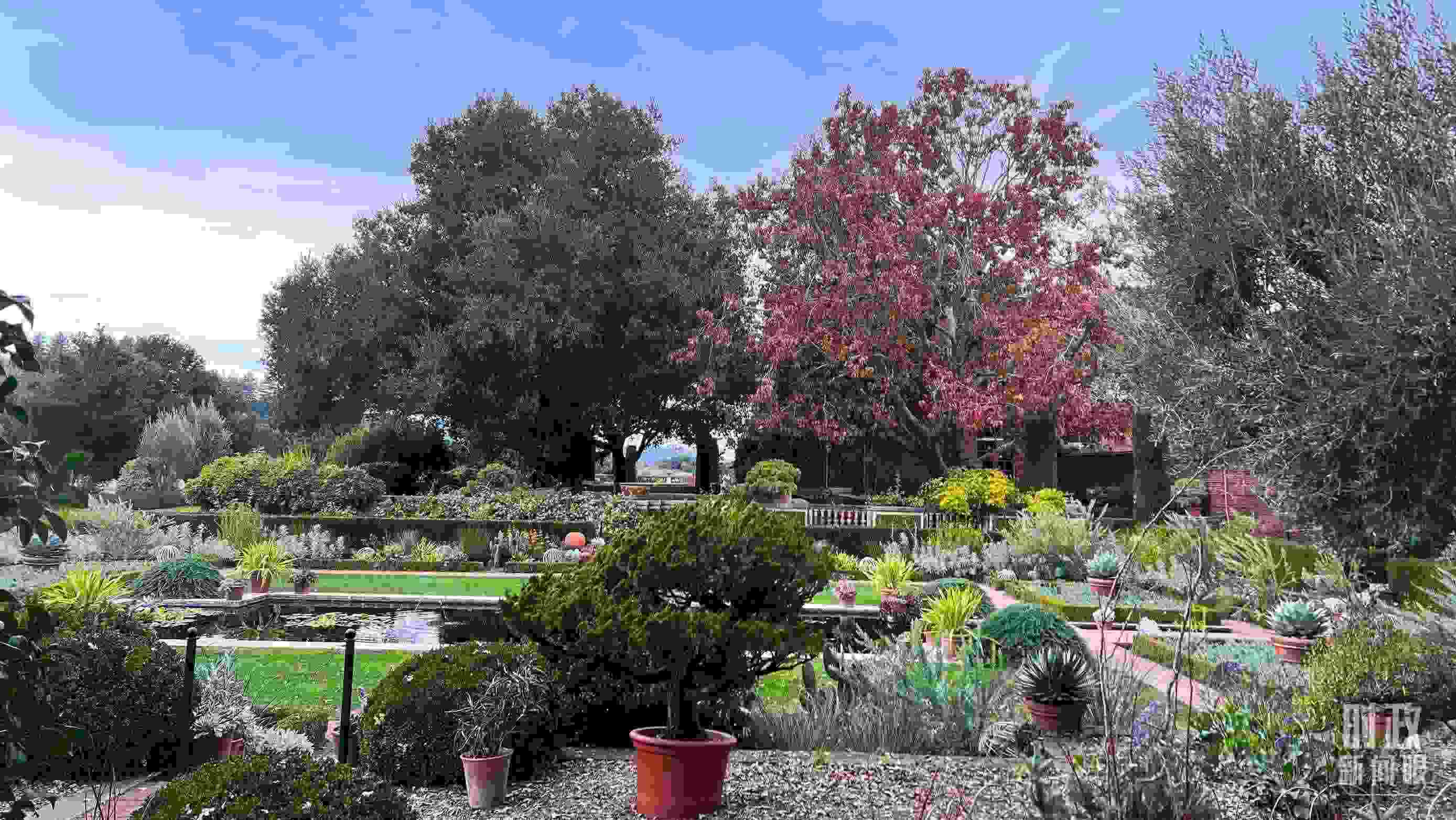 斐洛里莊園被稱作美國20世紀(jì)現(xiàn)存最精美鄉(xiāng)村莊園之一。（總臺(tái)央視記者程鋮拍攝）