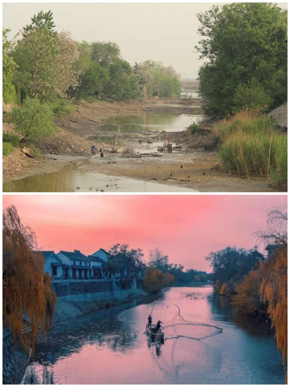 江蘇省揚州市江都區(qū)明清運河故道整治前后。（上圖：2012年；下圖：2020年）（孫友定 攝）